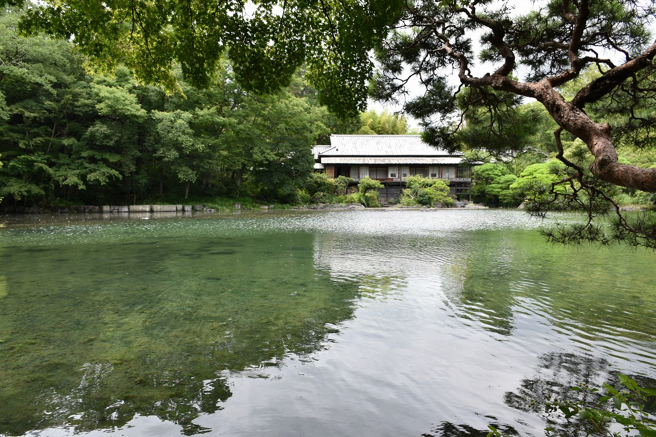 21年 楽寿園 小浜池 が今年も満水 7 7 三島市内 散策のオススメ 三島市観光web