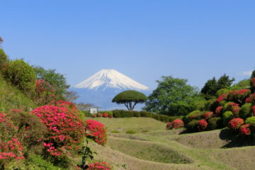 山中城跡 案内所・売店 | 三島市観光Web